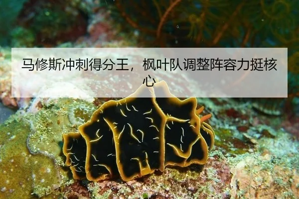 ma-xiu-si-chong-ci-de-fen-wang-feng-ye-dui-tiao-zheng-zhen-rong-li-ting-he-xin-3-486.jpg