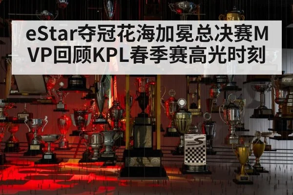 eStar夺冠花海加冕总决赛MVP回顾KPL春季赛高光时刻